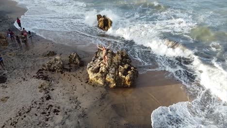 girl standing on rock on the edge of brazils ocean pan out to overview of atlantic coast with palm trees