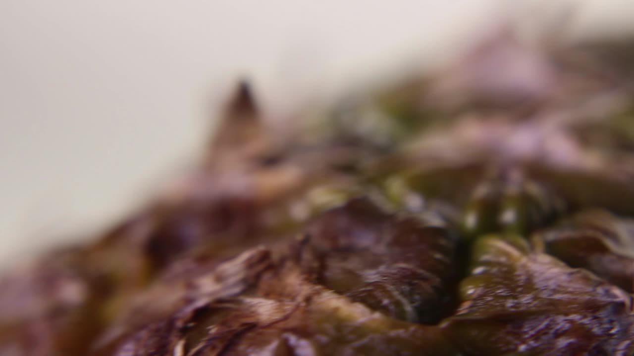 ananas de piña dorada sobre un fondo blanco-1