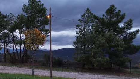 the color of this light is amazing, beautiful and i really loved this shot