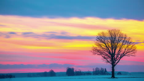 timelapse-clouds moving across fiery sky with lone tree on snowy field