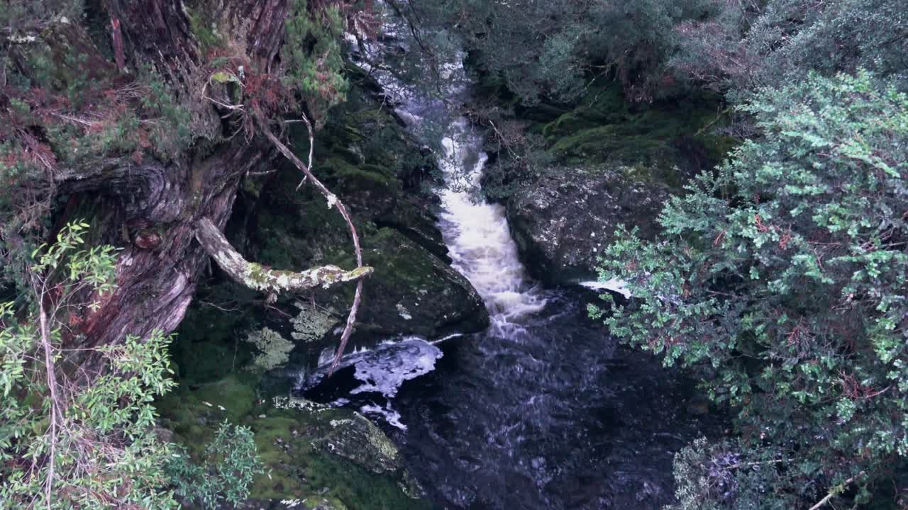 mirando desde arriba un pequeño arroyo que cae en cascada a través de las rocas hasta el estanque debajo
