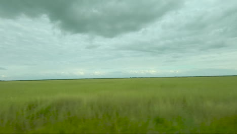 View-from-window-of-moving-vehicle-moving-along-wetlands-showing-grassy-terrain-Kakadu-National-Park-Northern-Territory-Australia