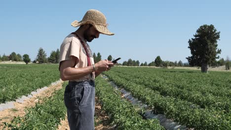 man looking phone in farm