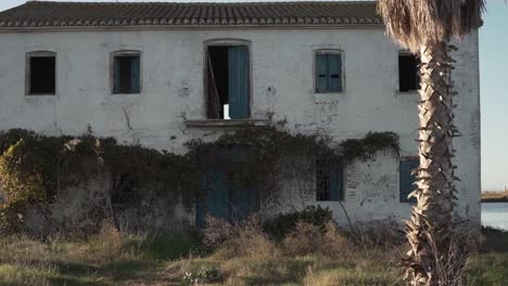 abandoned farmhouse with palm tree