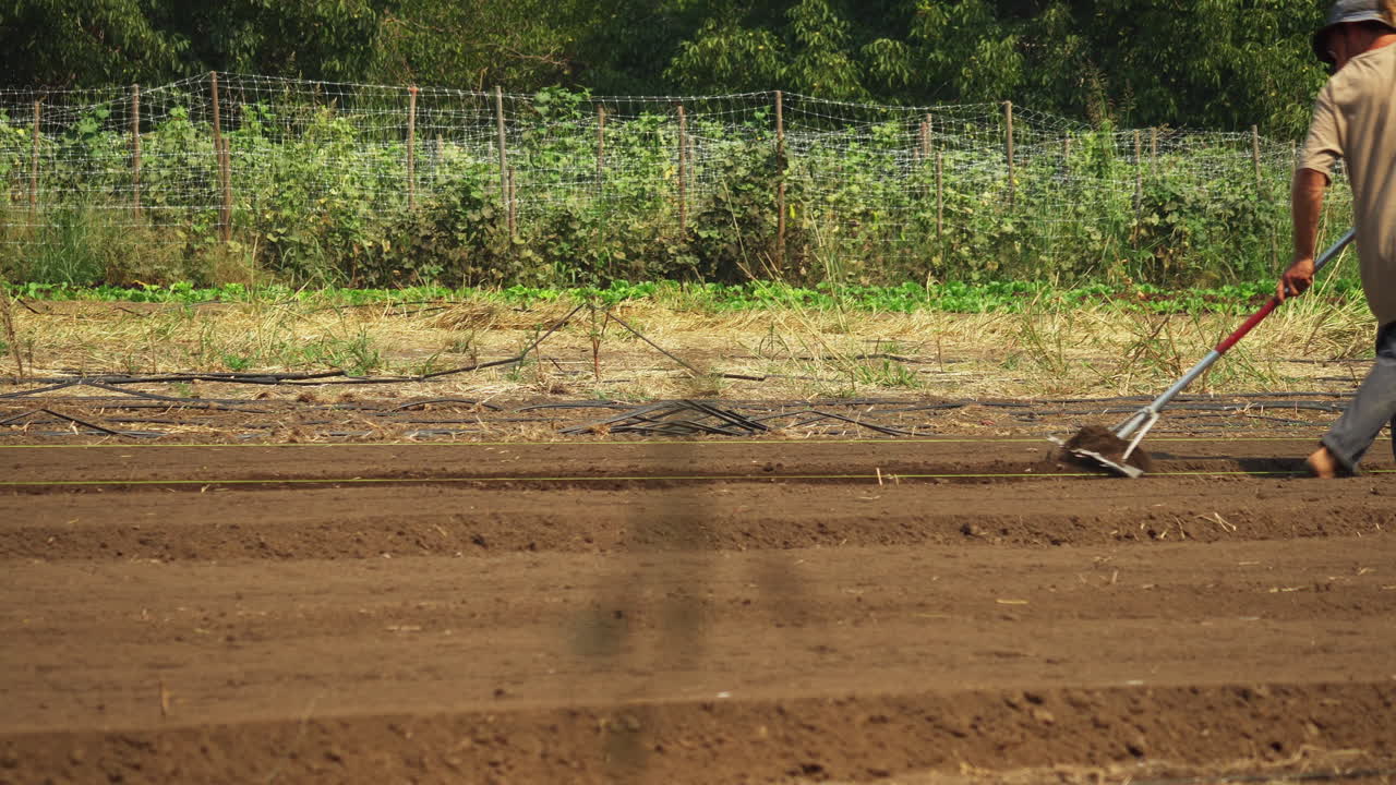 granjero hippie trabajando en una tierra de autoconsumo, ermitaño cosechando comida en un huerto