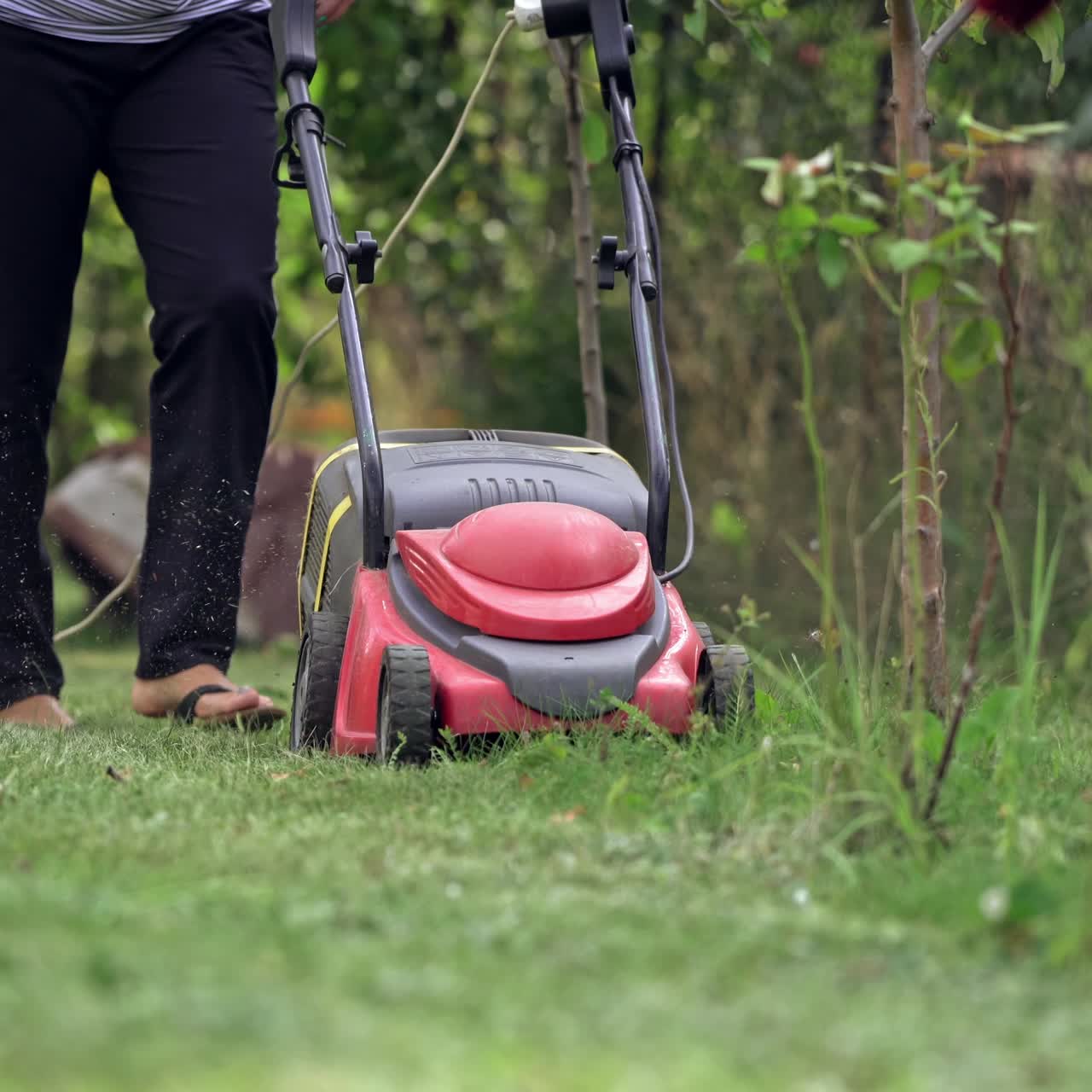 Gardener cutting lawn grass