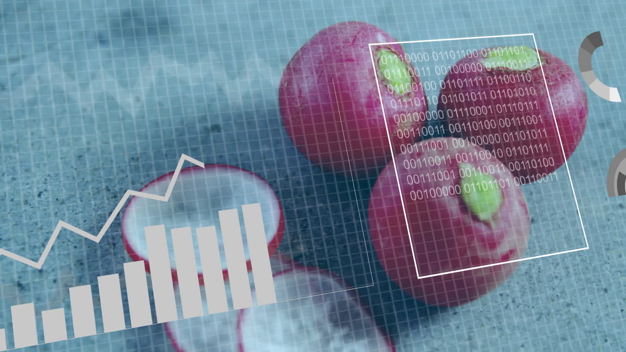 Overlaying data charts and binary code, animation of radishes in school project