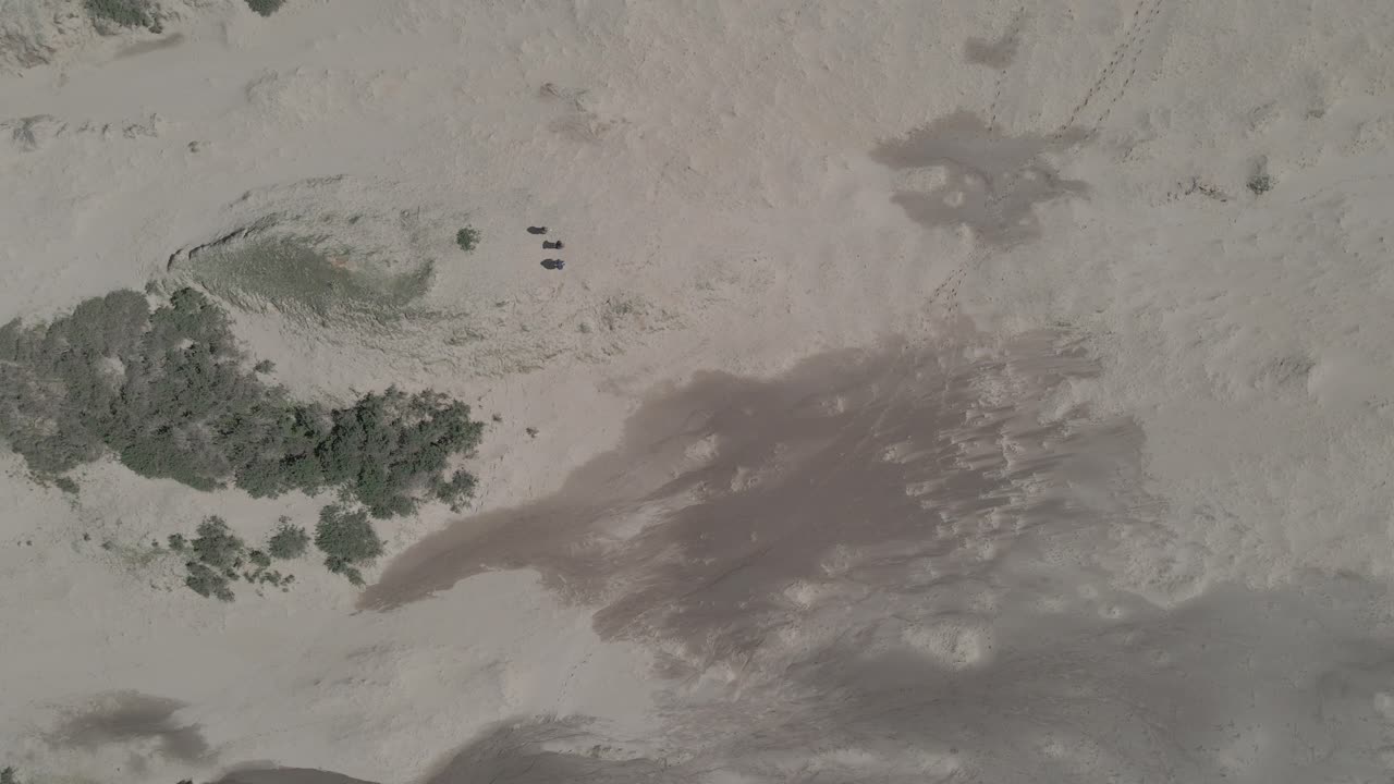 덥고 화창한 날 칠레 라니의 모래 언덕을 걷는 사람들의 공중 전망