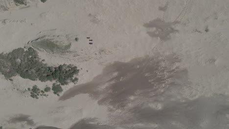 aerial view of people walking in the sand dunes of llani, chile, during a hot sunny days