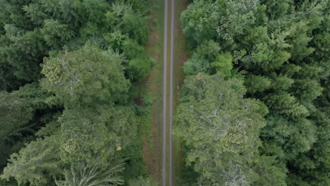 vista aérea de la carretera forestal