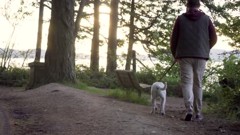 man with dog on leash walking at washington park with ocean views at sunrise in anacortes, washington, usa