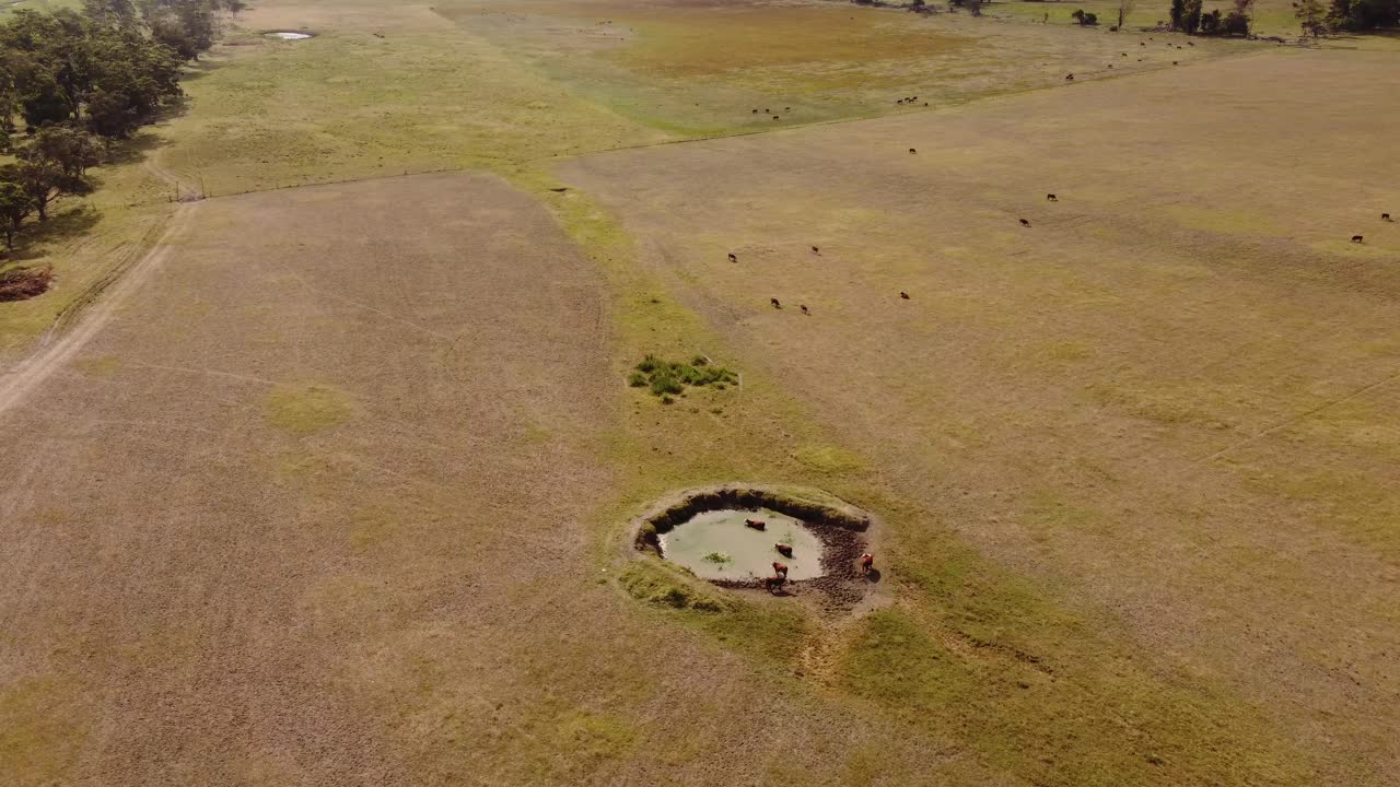아르헨티나 부에노스 아이레스 시골의 정체된 물 야외 수영장에서 목욕하는 소