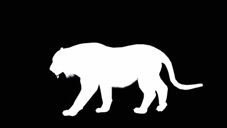 a tiger walking on black background with alpha channel included at the end of the video, 3d animation, side view, animated animals, seamless loop animation