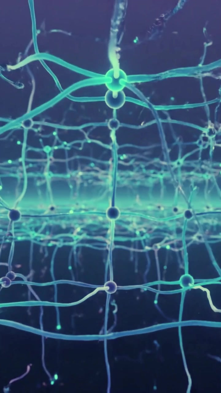 Abstract Visualization of Neural Network Connections and Synaptic Activity