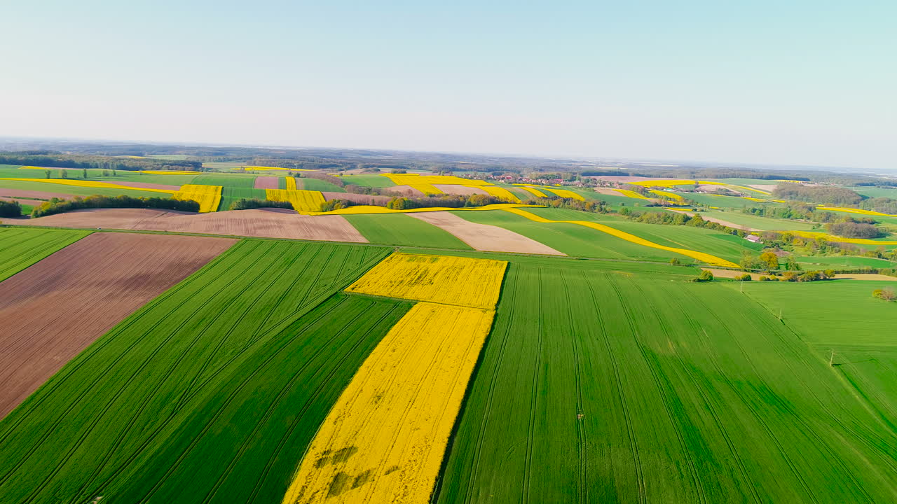 Fields With Various Types Of Agriculture 4K 9