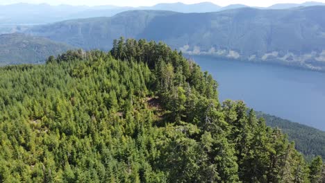 2nd growth forest above great central lake - thunder mountain, vancouver island, bc, canada