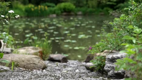 Wasser-Fließt-In-Zeitlupe-Und-Sprudelt-über-Felsen-In-Den-Unscharfen-Seerosenteich