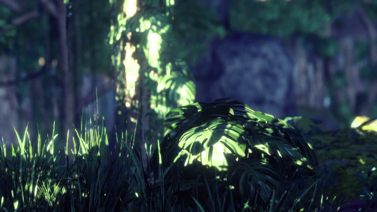 plantas de la selva a la luz del sol