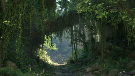 a sunlit path through a lush, green jungle