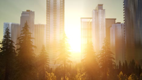 business skyscrapers at sunset