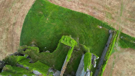 Toma-Aérea-Cenital-Del-Castillo-Cubierto-De-Musgo-De-Ballycarbery-En-Un-Prado-Seco