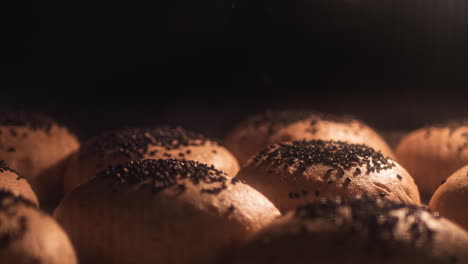 view from inside oven of homemade hamburger buns baking