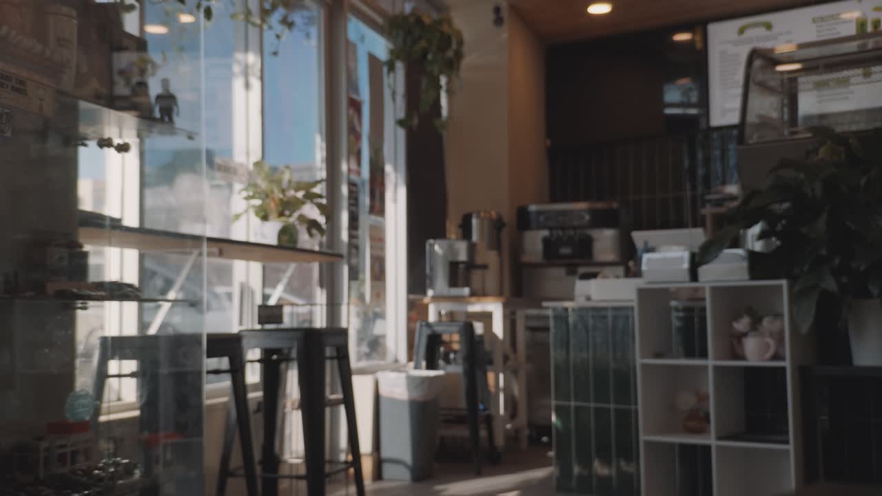 Bright and inviting matcha cafe interior in Sugarhouse, Utah, with plants, modern furniture, and sunlight streaming through large windows.