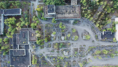 paisaje moribundo de pripyat - edificios soviéticos destruidos y naturaleza sin vida