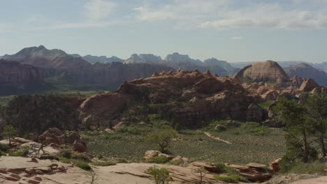 Slowly-emerging-from-trees-into-a-wide-vista-within-Zion-National-Park