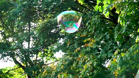 soap bubbles forming, floating and popping