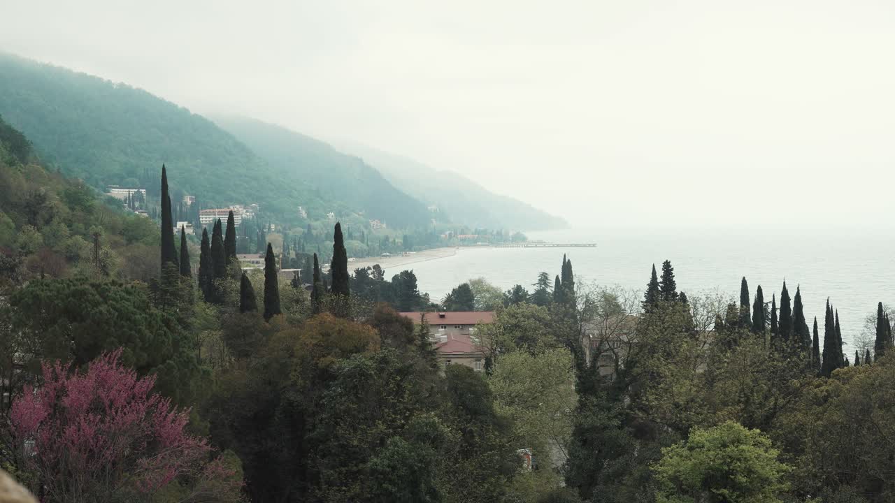 안개 날 을 가진 해안 도시