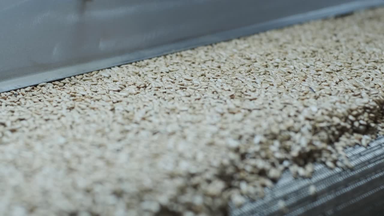 많은 씨, 태양광 씨, 베이킹 기계, 움직이는 긴 태양광씨, 기계에서 나온 음식 생산.