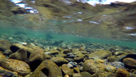Peces-Nadando-Bajo-El-Río-De-Montaña-4k