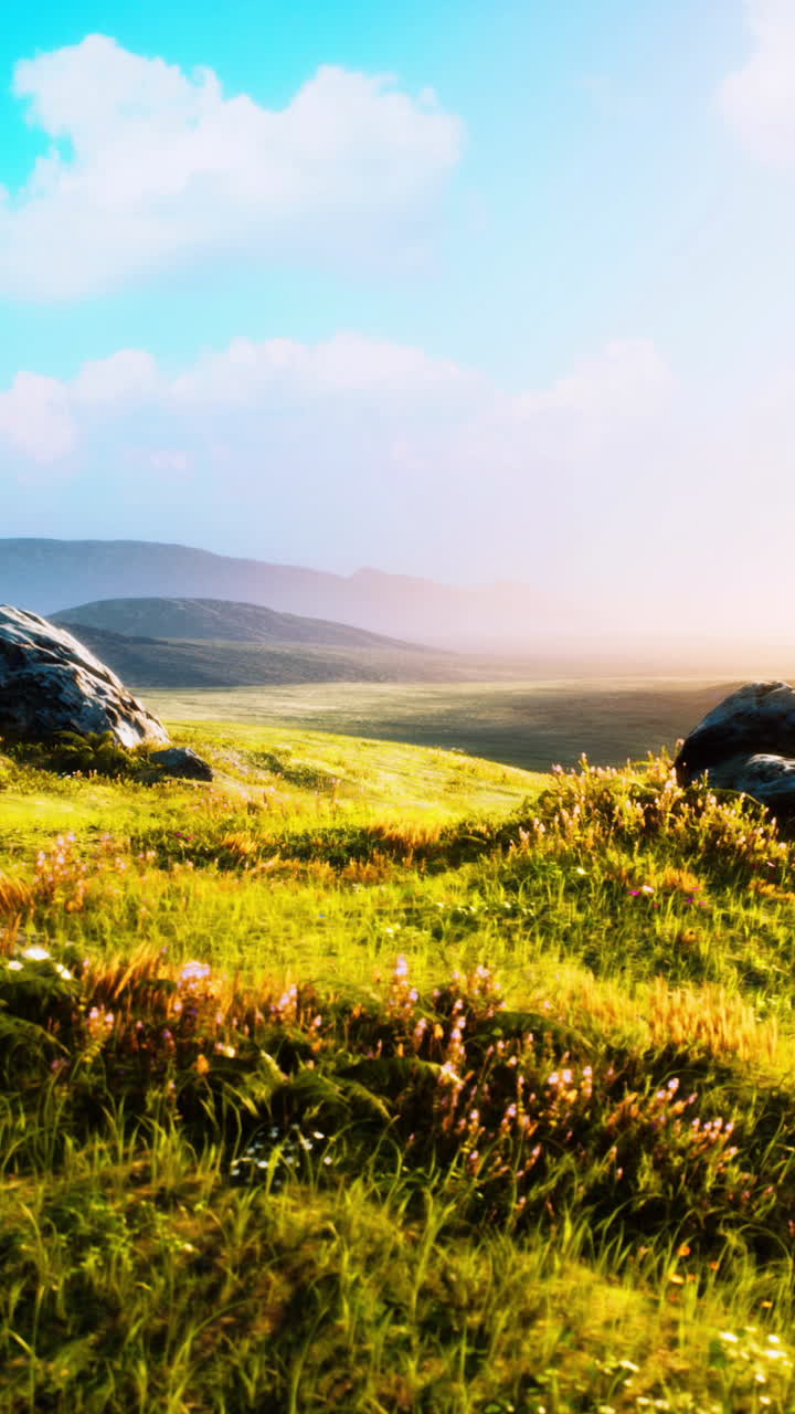 paisaje sereno de verano: colinas onduladas y campos verdes