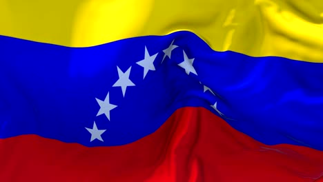 venezuela flag waving in wind slow motion animation . 4k realistic fabric texture flag smooth blowing on a windy day continuous seamless loop background.