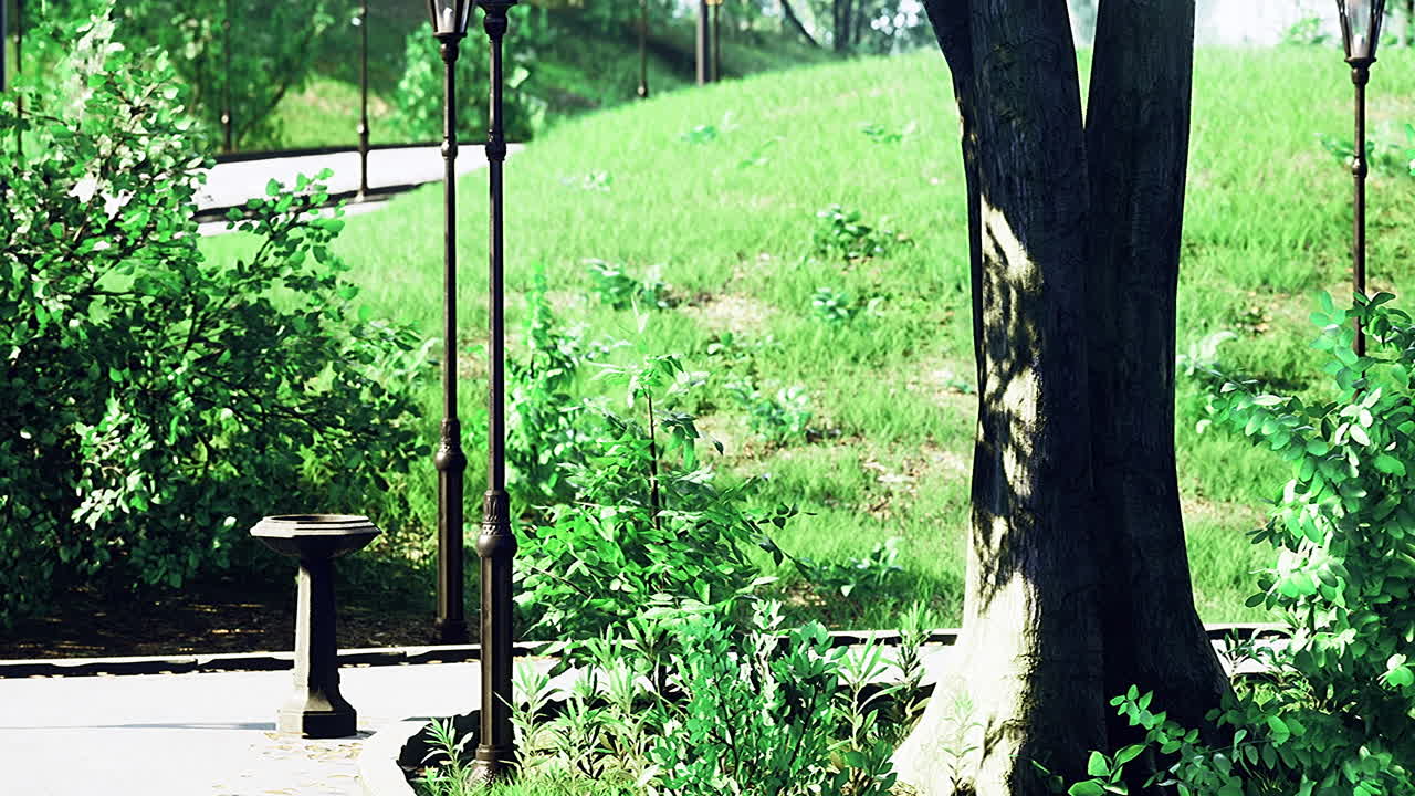 Strolling through a serene park filled with lush greenery and gentle paths