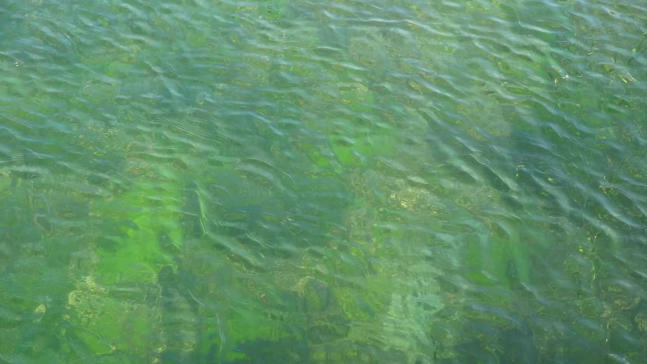 Gentle ripples on green seabed in slow motion