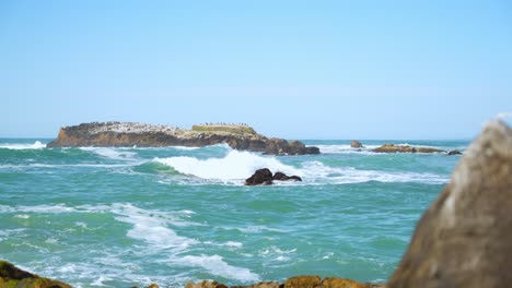 playa estatal pescadero y acantilados numero once