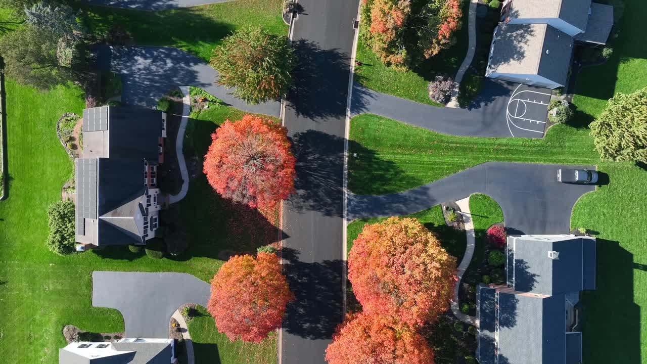 árboles coloridos en el vecindario estadounidense durante el otoño