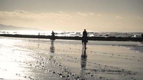 Epische-Sonnenuntergangs-Handaufnahme-Von-Zwei-Reitern-Mit-Ihren-Pferden,-Die-Bei-Ruhiger-See-In-Einer-Silhouette-In-Zeitlupe-Am-Schönen-Sandstrand-Entlang-Reiten