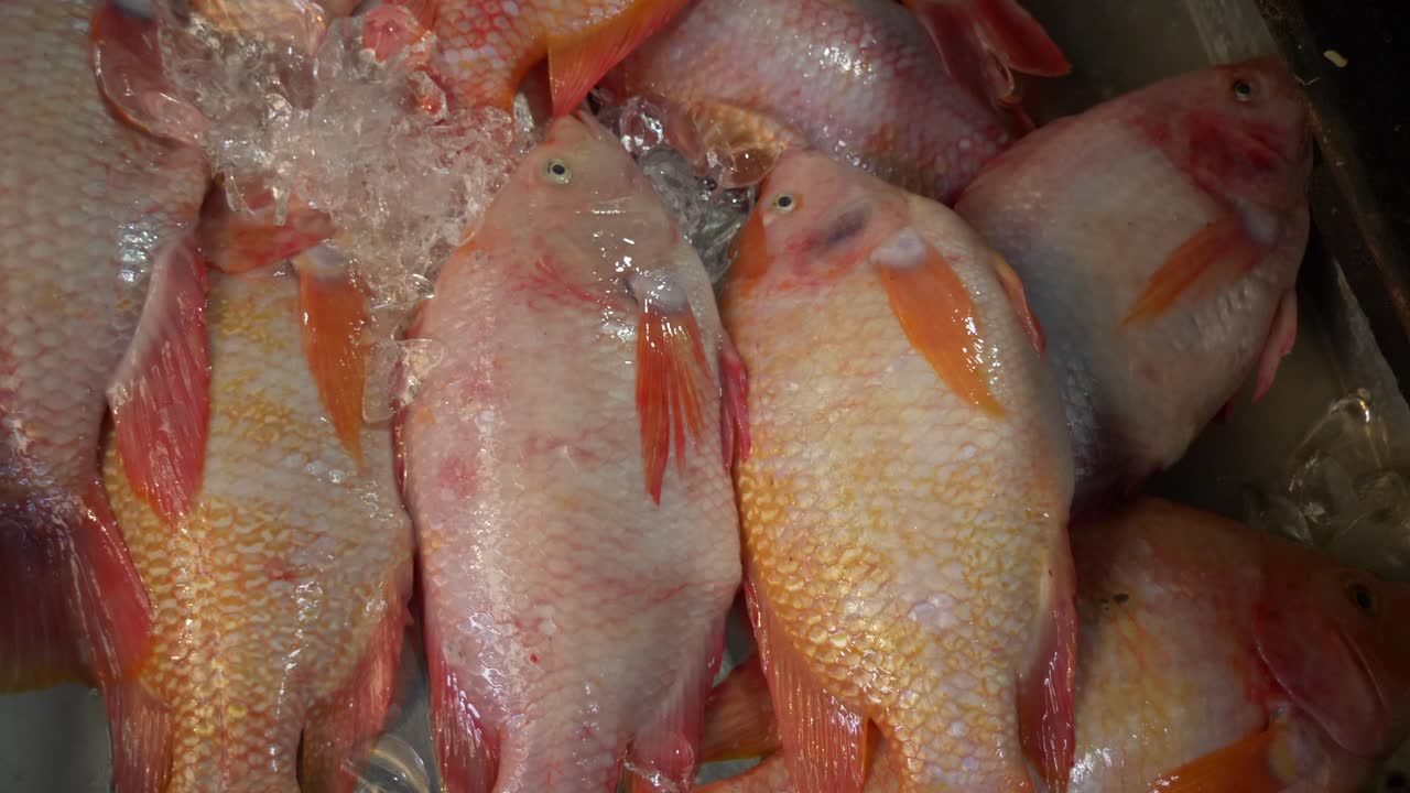 아시아 태국 물고기 시장 거리에서 얼음 버 ⁇ 에 죽은 신선한  ⁇ 은  ⁇ 라피아를 판매합니다.