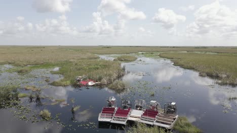 eco tourism air boats lined up at edge of dark swamp await visitors