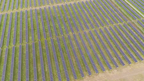 aerial view of solar panels and crops
