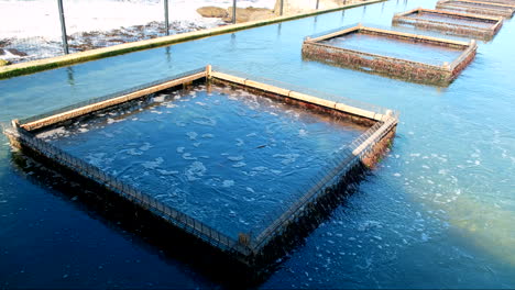 Sea-water-pumped-up-to-aquafarm-for-aquaculture-purposes,-square-filter-barriers