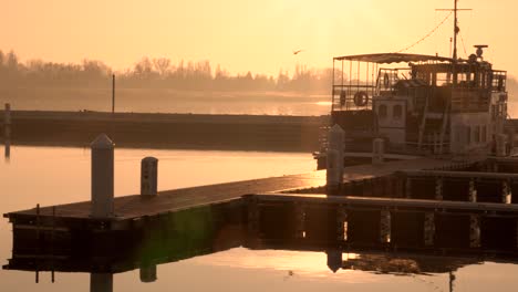 golden reflections on lake balaton, a lone boat moored at a dock, a seagull flies past