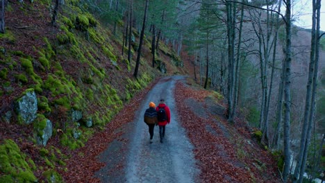 Ein-Paar-Reisende-Gehen-Im-Wald-Spazieren