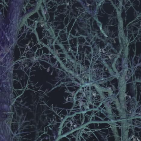 la noche es un paisaje misterioso.