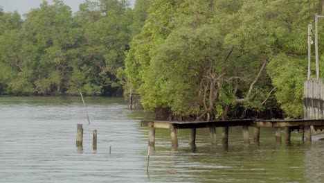 泰國 chanthaburi 河岸上的木製碼頭