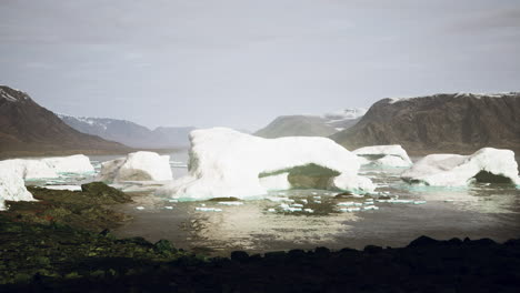 vista nublada de verano al gran glaciar