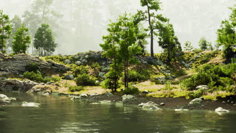 a peaceful forest scene with a river, trees and fog